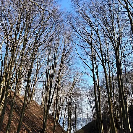 Eden Domki, I Apartment Jastrzębia Góra