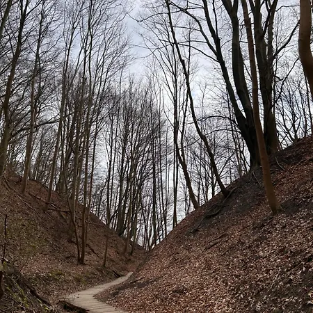 Eden Domki, I Apartman