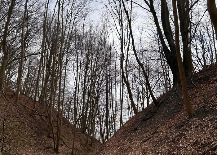 Eden Domki, I Διαμέρισμα